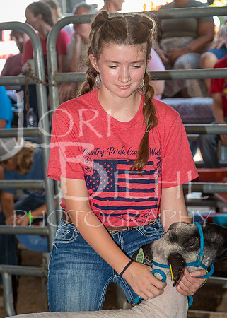2022-07-13 LCF Jr. Lamb Show #1-LB-20