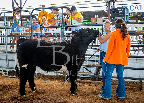 2024-07-11 LCF Jackpot Steer Show #1 - LB-17