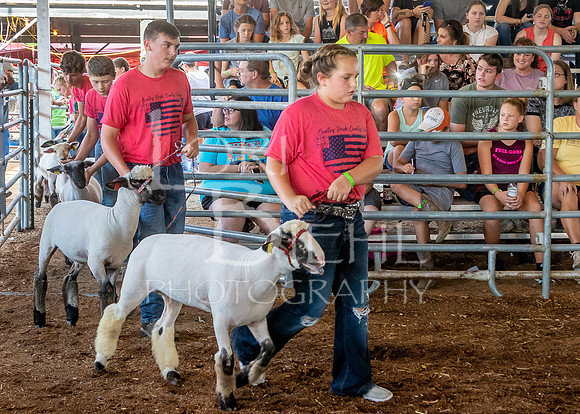 2022-07-13 LCF Jr. Lamb Show #1-LB-34