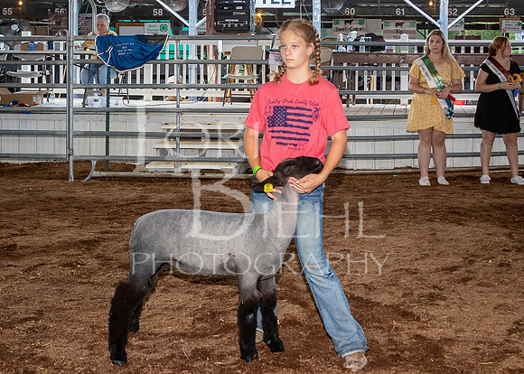 2022-07-13 LCF Jr. Lamb Show #1-LB-11