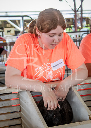 2024-07-08 LCF Jr. Rabbit Show #1 - LB-123