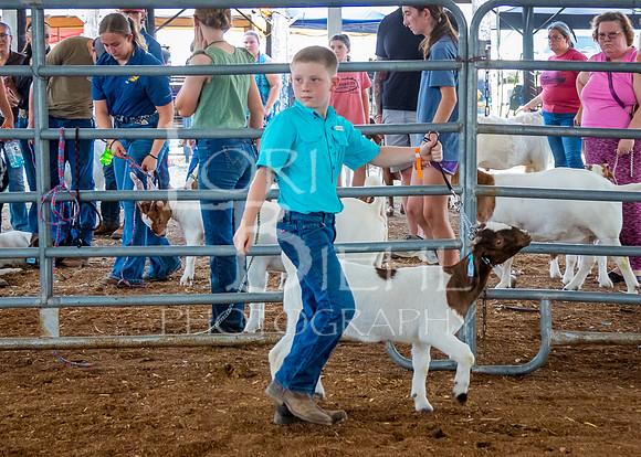 2024-07-12 LCF Open Breeding Goat Show #1 - LB-66