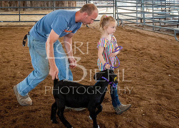 2024-07-12 LCF Open Breeding Goat Show #1 - LB-40