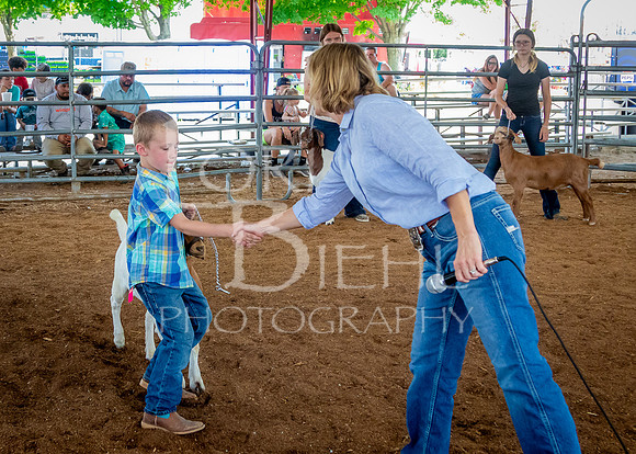 2024-07-12 LCF Open Breeding Goat Show #1 - LB-84