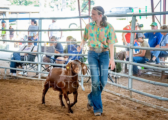 2024-07-12 LCF Open Breeding Goat Show #1 - LB-130