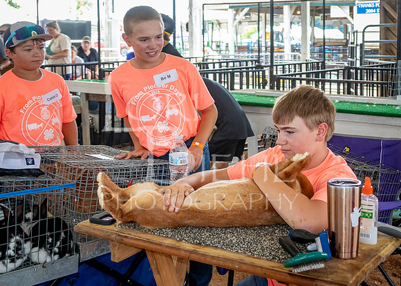 2024-07-08 LCF Jr. Rabbit Show #1 - LB-109