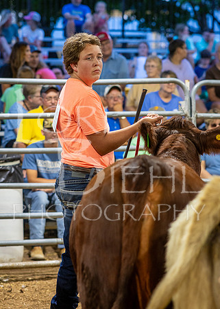 2024-07-10 LCF Jr. Steer Show #1 - CH-27