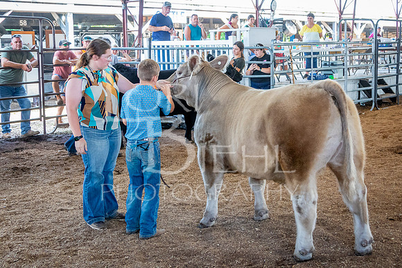 2024-07-11 LCF Jackpot Steer Show #1 - LB-45