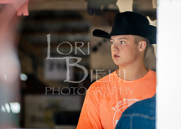 2024-07-09 LCF Jr. Swine Show #1 - CH-30
