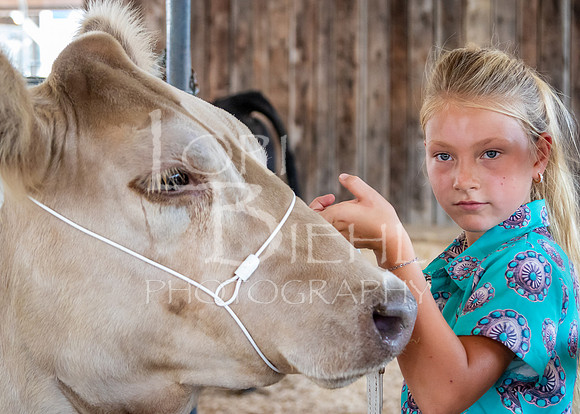 2024-07-12 LCF Open Breeding Cattle Show #1 - LB-50