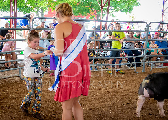 2024-07-12 LCF Open Breeding Swine Show #1 - LB-21
