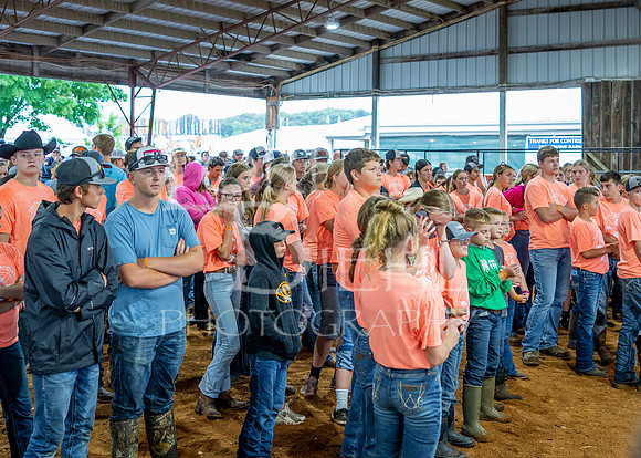 2024-07-09 LCF Jr. Swine Show #1 - CH-62