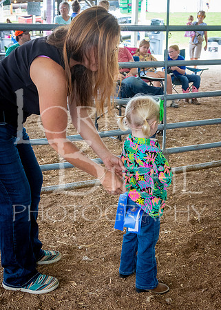 2024-07-13 LCF Open Breeding Sheep Show #1 - LB-82