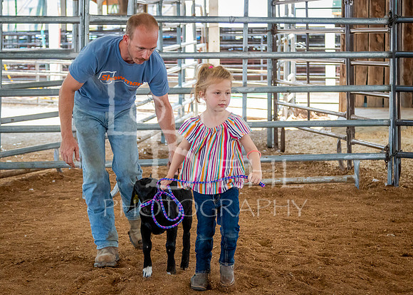 2024-07-12 LCF Open Breeding Goat Show #1 - LB-39