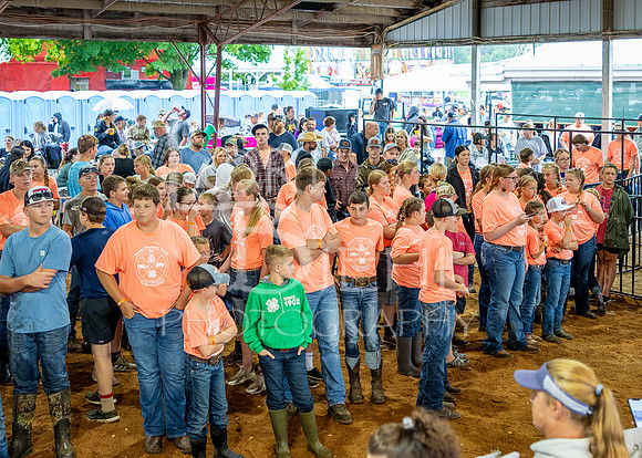 2024-07-09 LCF Jr. Swine Show #1 - CH-51