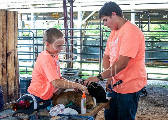 2024-07-08 LCF Jr. Rabbit Show #1 - LB-91