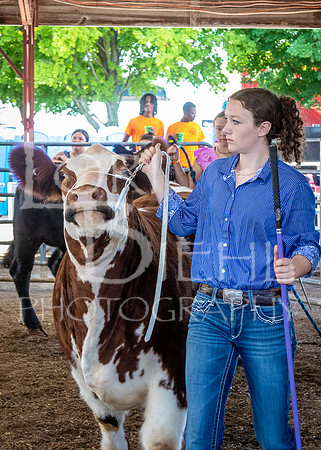 2024-07-10 LCF Master Showmanship #1 - LB-21