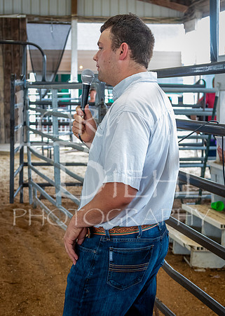 2024-07-12 LCF Open Breeding Cattle Show #1 - LB-77