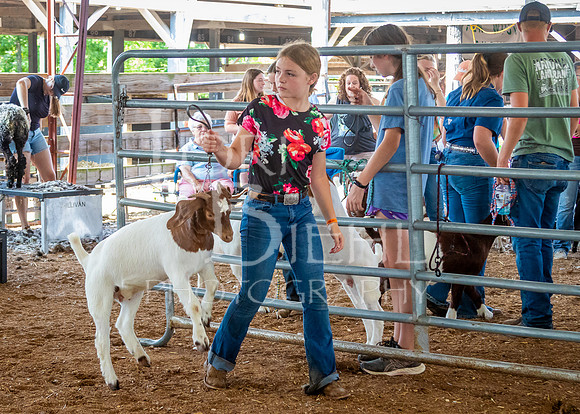 2024-07-12 LCF Open Breeding Goat Show #1 - LB-85