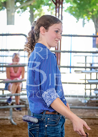2024-07-12 LCF Open Breeding Goat Show #1 - LB-214