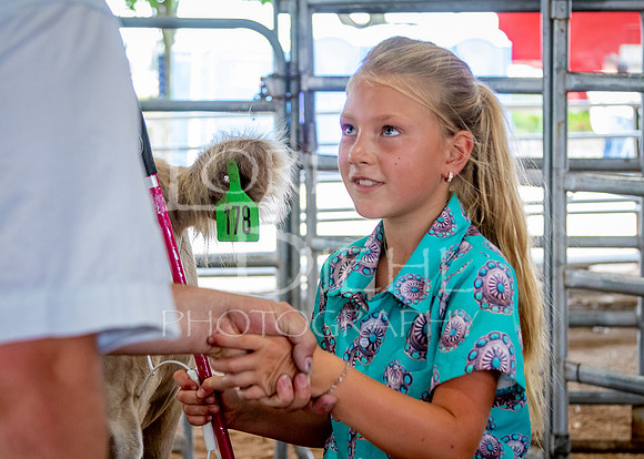 2024-07-12 LCF Open Breeding Cattle Show #1 - LB-90
