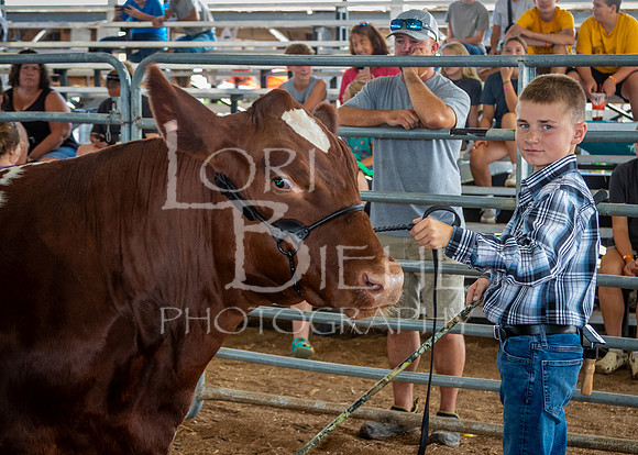 2024-07-11 LCF Jackpot Steer Show #1 - LB-31