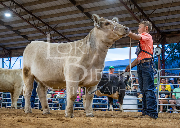 2024-07-10 LCF Jr. Steer Show #1 - CH-32