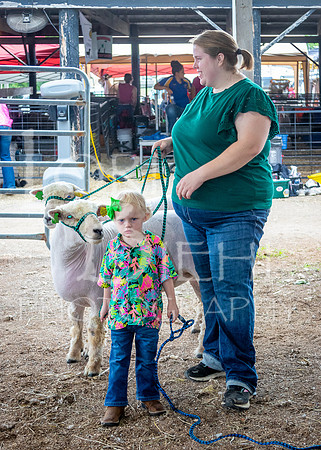 2024-07-13 LCF Open Breeding Sheep Show #1 - LB-58