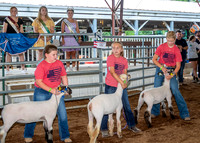 2022-07-13 LCF Jr. Lamb Show #1-LB-9