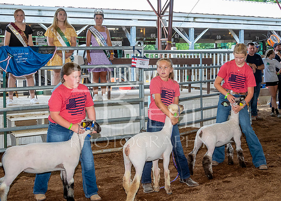 2022-07-13 LCF Jr. Lamb Show #1-LB-9