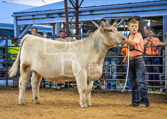 2024-07-10 LCF Jr. Steer Show #1 - CH-29