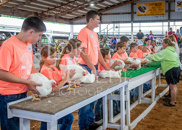 2024-07-08 LCF Jr. Poultry Show #1 - LB-23