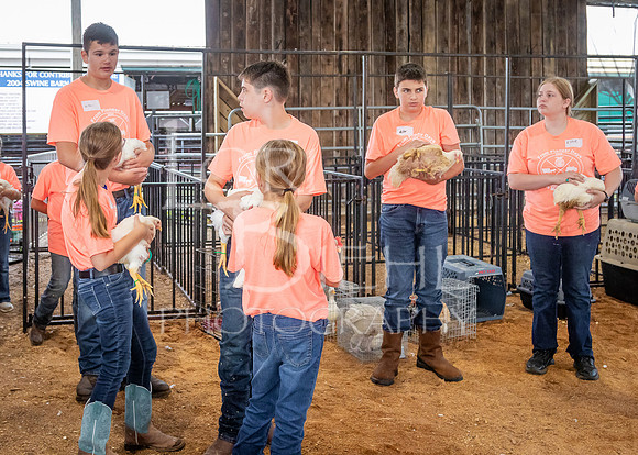 2024-07-08 LCF Jr. Poultry Show #1 - LB-14