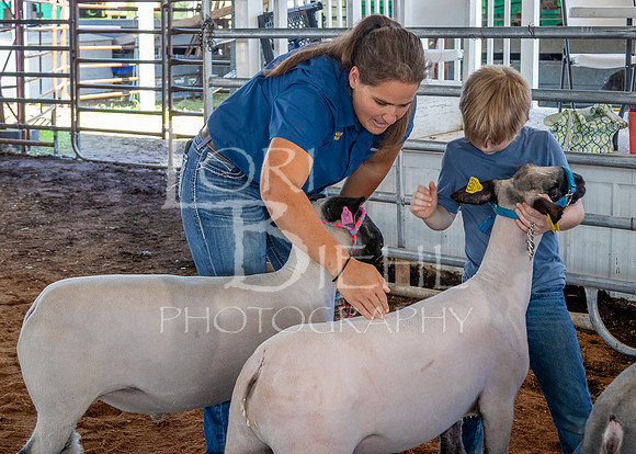 2024-07-10 LCF Livestock Judging #1 - LB-10