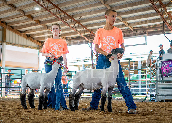 2024-07-10 LCF Jr. Sheep Show #1 - CH-21