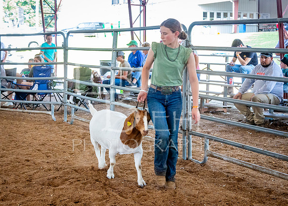 2024-07-12 LCF Open Breeding Goat Show #1 - LB-126