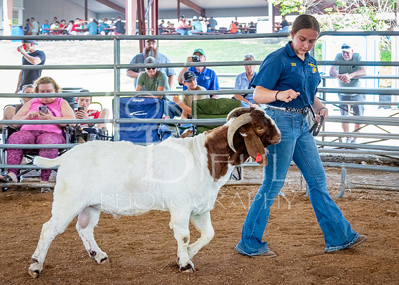 2024-07-12 LCF Open Breeding Goat Show #1 - LB-241