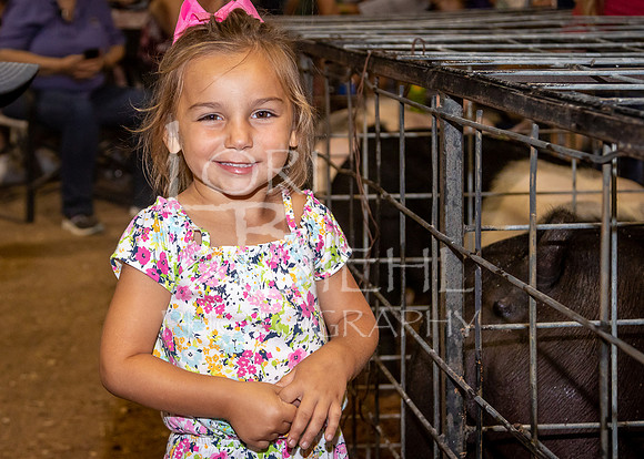 2022-07-12 LCF Jr. Swine Show #1-LB-259
