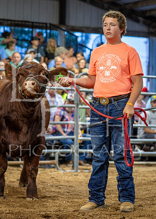 2024-07-10 LCF Jr. Steer Show #1 - CH-35