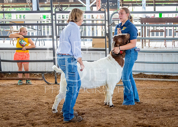 2024-07-12 LCF Open Breeding Goat Show #1 - LB-245