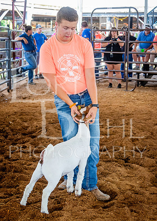 2024-07-10 LCF Jr. Goat Show #1 - LB-39