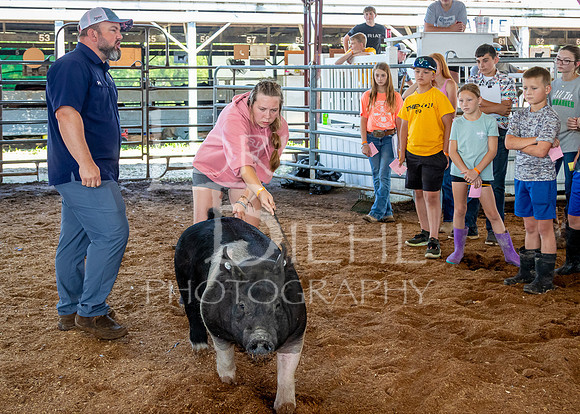 2024-07-10 LCF Livestock Judging #1 - LB-46