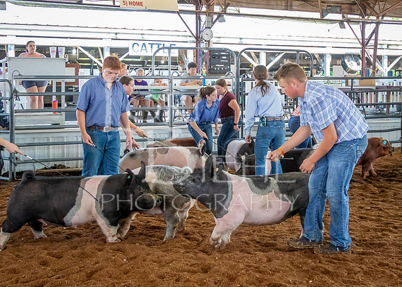 2024-07-10 LCF Master Showmanship #1 - LB-45