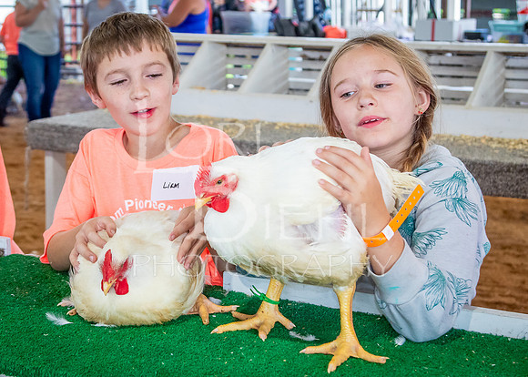 2024-07-08 LCF Jr. Poultry Show #1 - LB-8