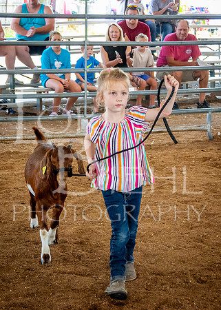 2024-07-12 LCF Open Breeding Goat Show #1 - LB-108