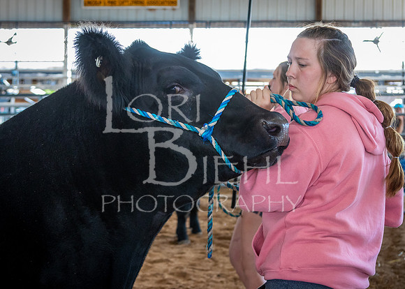 2024-07-10 LCF Livestock Judging #1 - LB-41