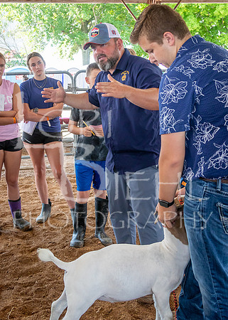 2024-07-10 LCF Livestock Judging #1 - LB-7