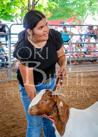 2024-07-12 LCF Open Breeding Goat Show #1 - LB-209