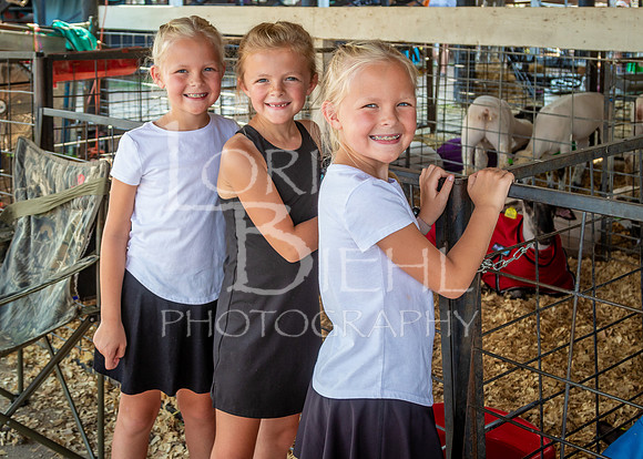 2024-07-11 LCF Flag Ceremony & Livestock Auction #1 - LB-18