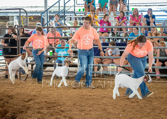 2024-07-10 LCF Jr. Goat Show #1 - LB-61